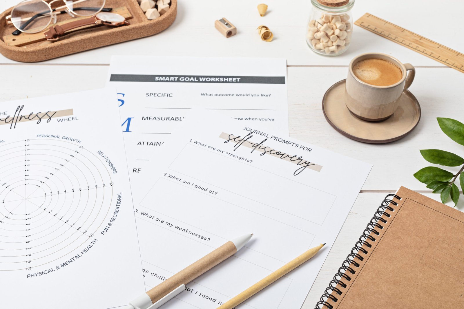 Asesoramiento político